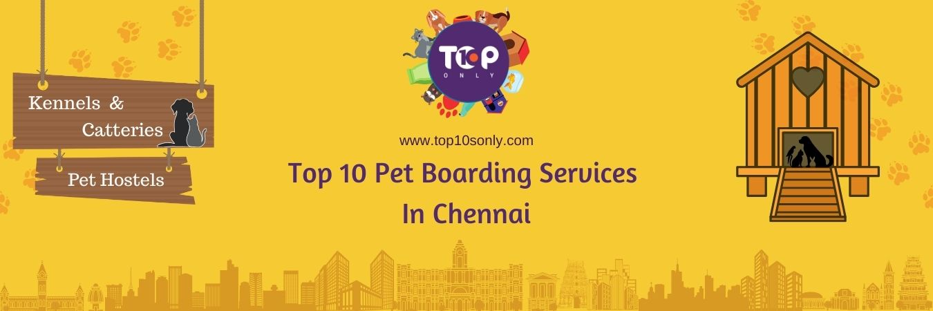 top 10 pet boarding services in chennai, tamil nadu