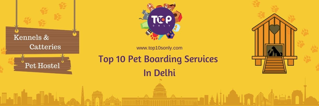 top 10 pet boarding services in delhi