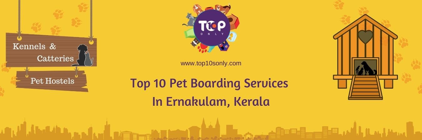 top 10 pet boarding services in ernakulam, kerala