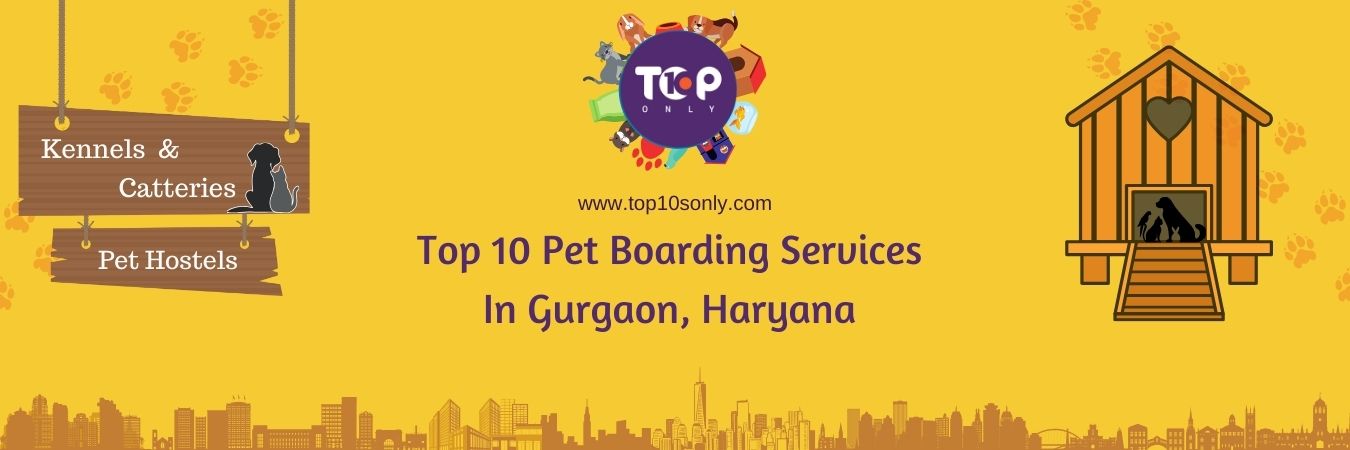 top 10 pet boarding services in gurgaon, haryana