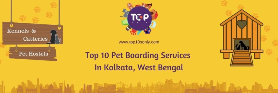 top 10 pet boarding services in kolkata, west bengal