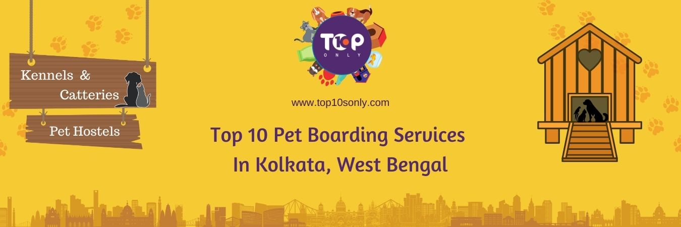 top 10 pet boarding services in kolkata, west bengal