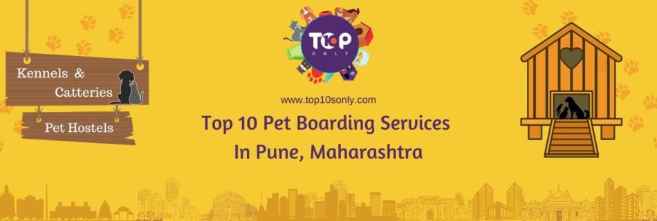 top 10 pet boarding services in pune, maharashtra