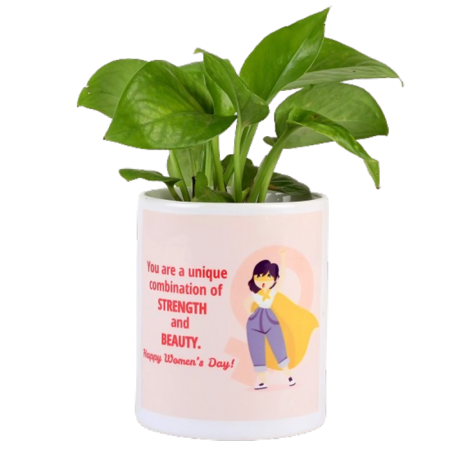 money plant in happy women's day pot