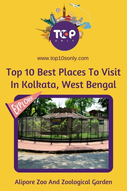 top 10 best places to visit in kolkata, west bengal alipore zoo and zoological garden