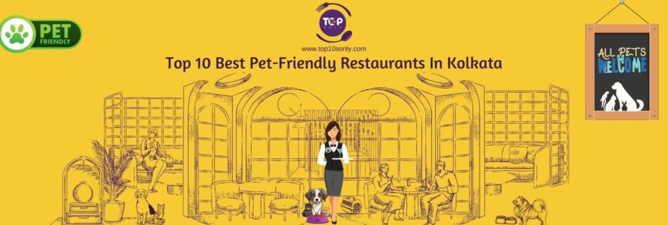 top 10 best pet friendly restaurants in kolkata, west bengal