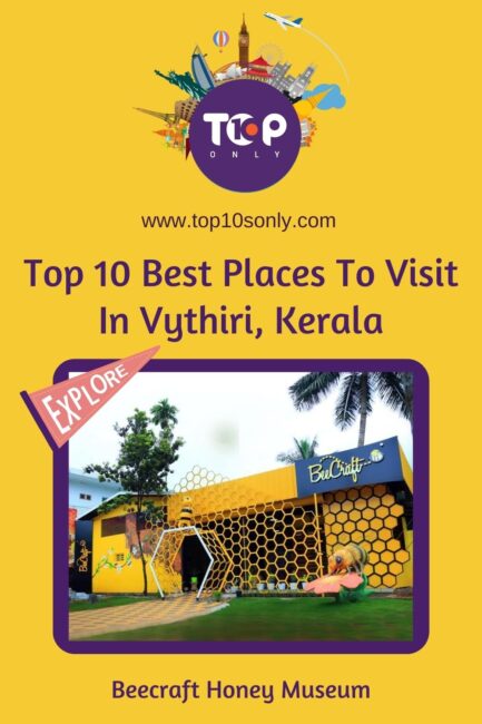 top 10 best places to visit in vythiri, kerala beecraft honey museum