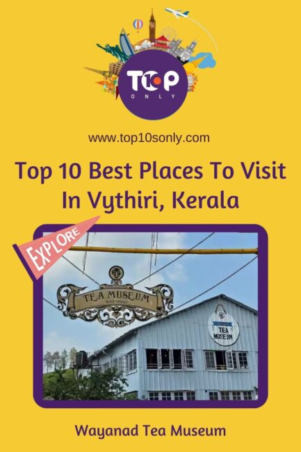 top 10 best places to visit in vythiri, kerala wayanad tea museum