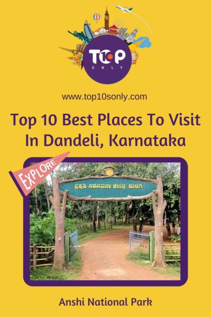 top 10 best places to visit in dandeli, karnataka anshi national park