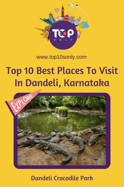 top 10 best places to visit in dandeli, karnataka dandeli crocodile park