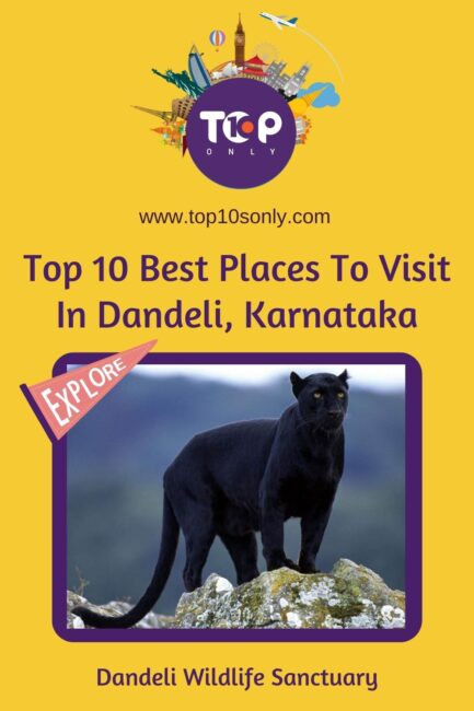 top 10 best places to visit in dandeli, karnataka dandeli wildlife sanctuary