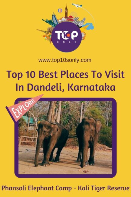 top 10 best places to visit in dandeli, karnataka phansoli elephant camp kali tiger reserve