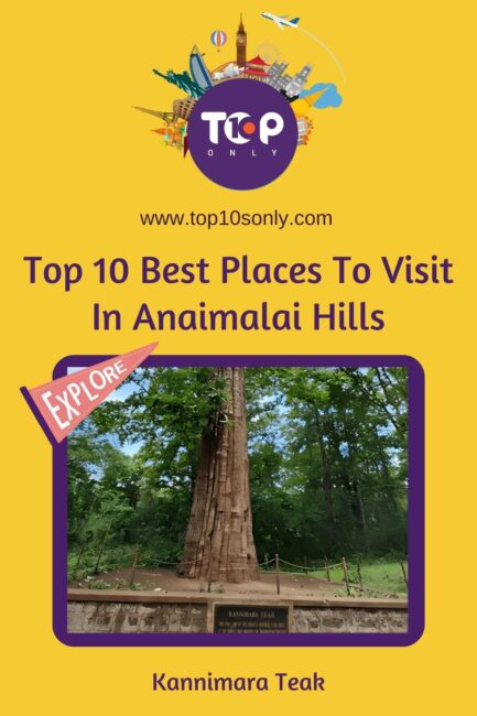 top 10 best places to visit in anaimalai hills, tamil nadu kannimara teak