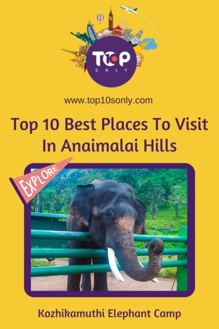 top 10 best places to visit in anaimalai hills, tamil nadu kozhikamuthi elephant camp