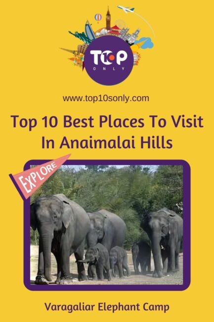 top 10 best places to visit in anaimalai hills, tamil nadu varagaliar elephant camp