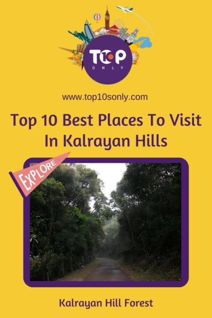 top 10 best places to visit in and around kalrayan hills kalrayan hill forest