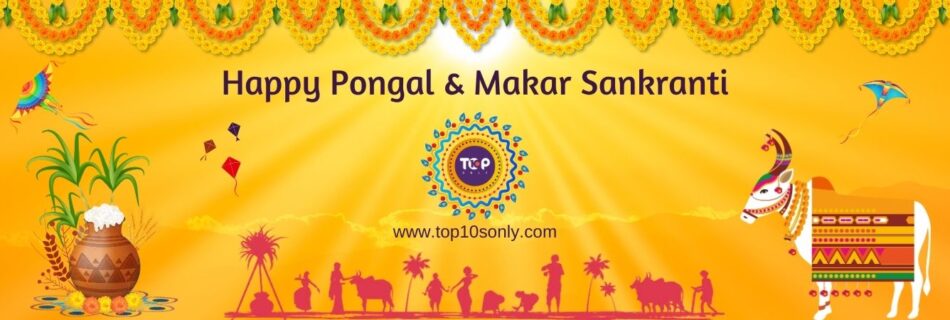 pongal and makar sankranti