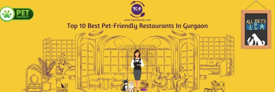 top 10 best pet friendly restaurants in gurgaon, haryana