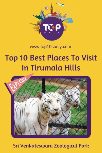 top 10 best places to visit in tirumala hills sri venkateswara zoological park