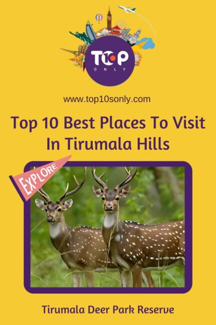 top 10 best places to visit in tirumala hills tirumala deer park reserve