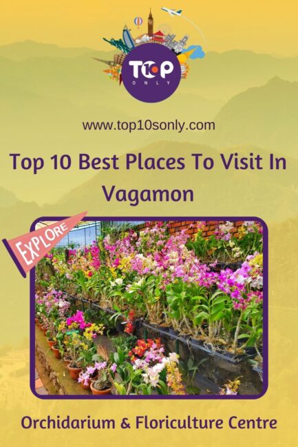 top 10 best places to visit in vagamon orchidarium & floriculture centre