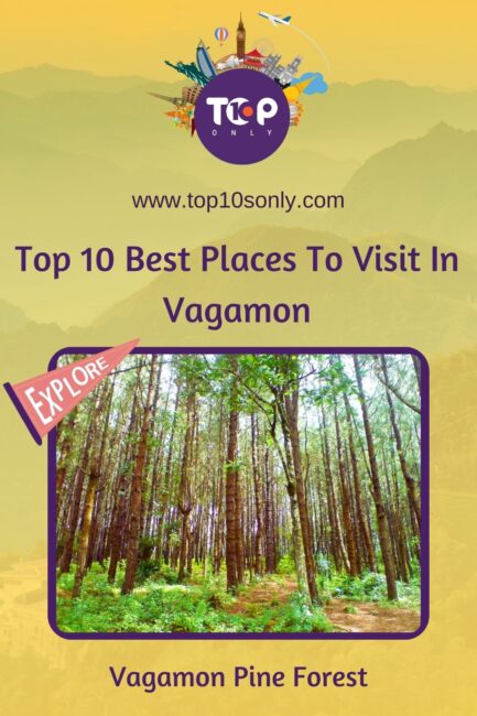 top 10 best places to visit in vagamon vagamon pine forest